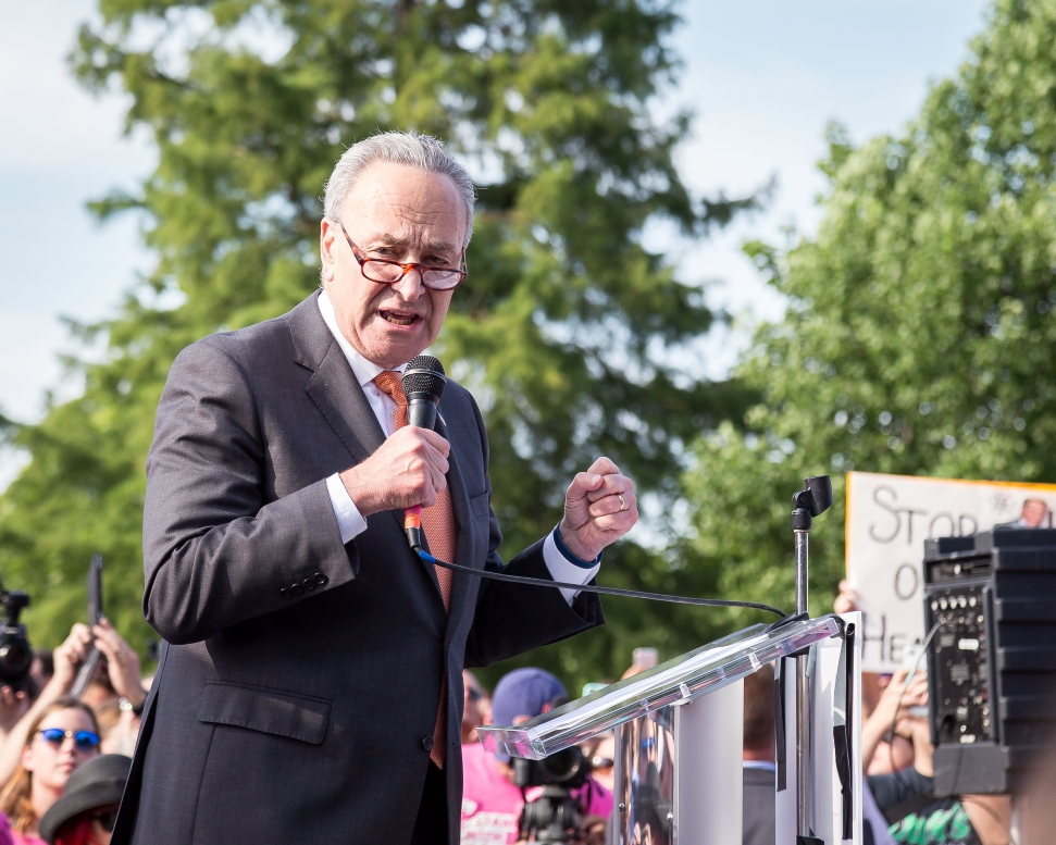 Sen. Chuck Schumer speaks passionately into a microphone while gesturing with one hand. He is at a podium outdoors, surrounded by trees and a crowd of people holding signs. Understand why Senate Majority Leader Chuck Schumer is facing pressure to allow a vote on the bipartisan bill to expand the Child Tax Credit.