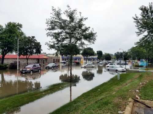 A flooded street with partially submerged cars and trees lining the sides, reflecting in the water.