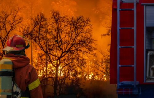 Firefighter in protective gear battling a fire outdoors, with flames and smoke visible among trees. A building is visible on the right.