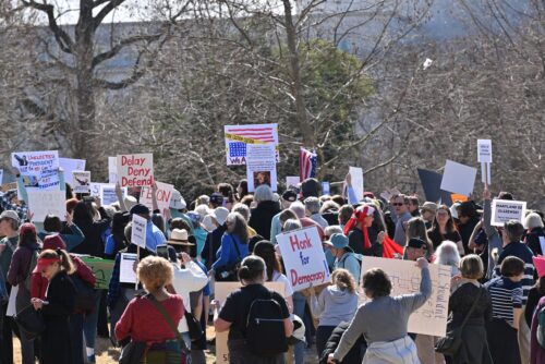 People gather on the West Lawn of the United States Capitol Building to protest the current happenings in the country including the overreach of the DOGE and the inaction of Congress. The rally was held on the West Lawn of the United States Capitol Building, Washington, DC on March 10, 2025.