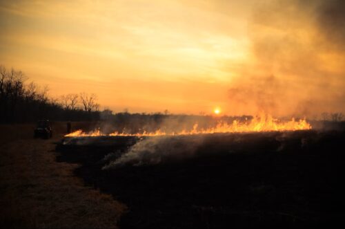 Sunset over a controlled fire with vivid orange flames, smoke rising against a golden sky. Trees silhouette in the background, evoking an intense, dramatic scene. Credit: Jeromey Balderrama via Unsplash