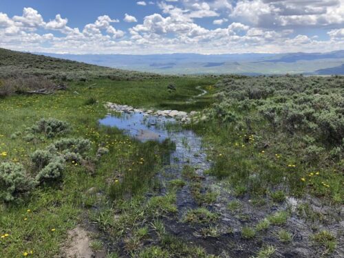 A serene landscape of a lush green meadow with a small stream winding through it, under a sky dotted with fluffy clouds. Sage Brush Meadow, located in the Grand Mesa, Uncompahgre, and Gunnison National Forests. Lands like this could disappear if the 