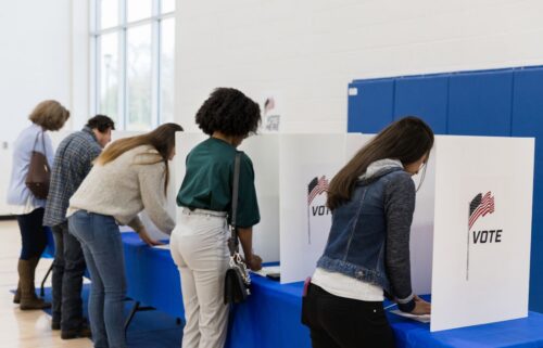 Five people stand in line at voting booths, casting ballots. The booths display an American flag and the word 
