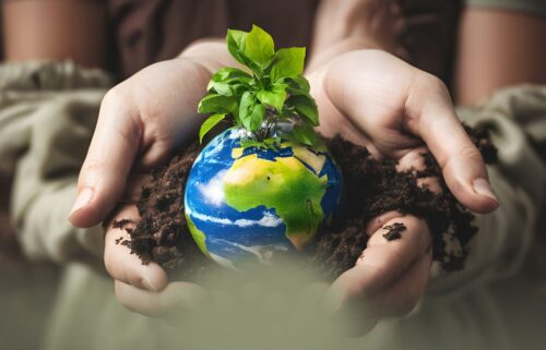 Hands gently cradle a small globe sprouting vibrant green leaves, surrounded by rich soil, symbolizing growth and environmental care.